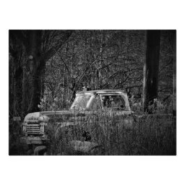 "Nature, Take the Wheel" Foto Impressão