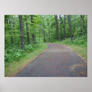 Nature Woods Forest Path Fotografia Poster Art MN
