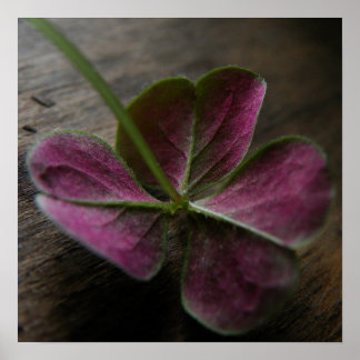 'naturelovesyou' Impressão de tela