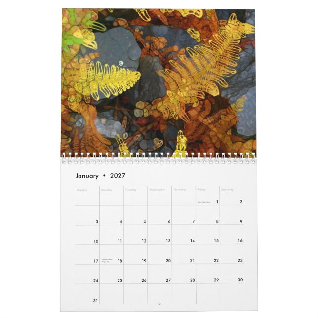 Natureza - calendário do estilo de Paintography (Jan 2027)