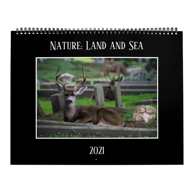 Natureza: Calendário do Land e do Mar de 2021 (Capa)