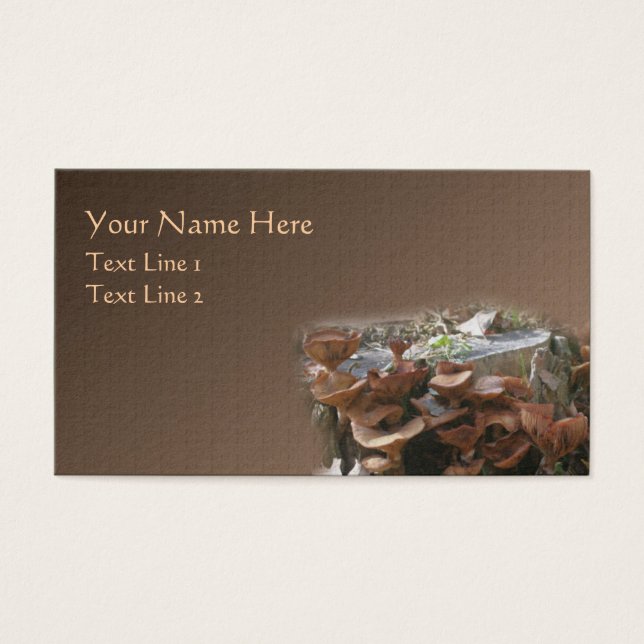 Natureza da aldeia de mushroom castanho selvagem (Frente)