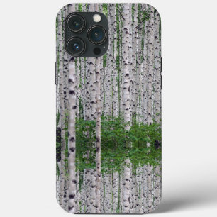 Natureza da Floresta de Birch