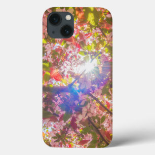 Natureza floresce flores luz brilha sol