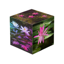 Natureza Inspirou Cubo Fotográfico de 4"