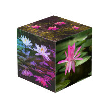 Natureza Inspirou Cubo Fotográfico de 4"