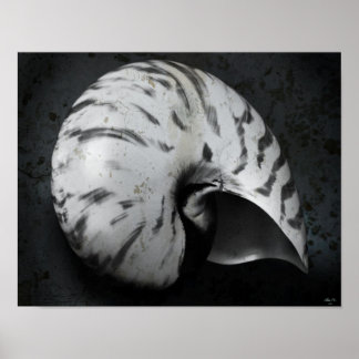 Nautilus BW Poster