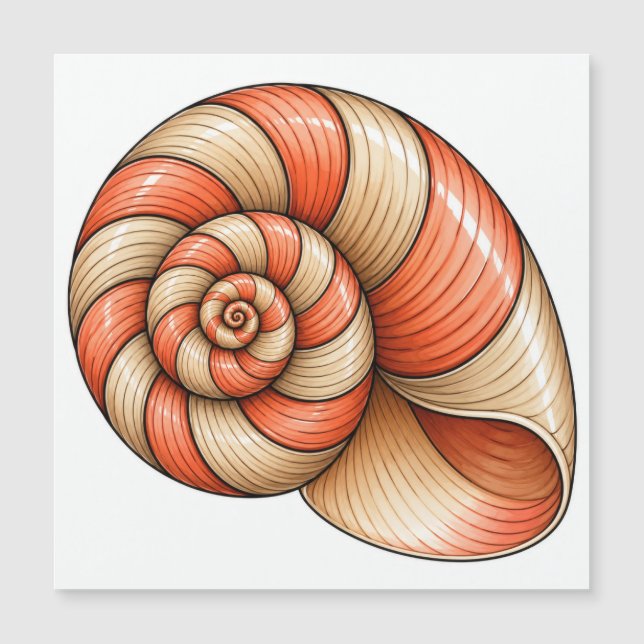 Nautilus Coral (Frente)