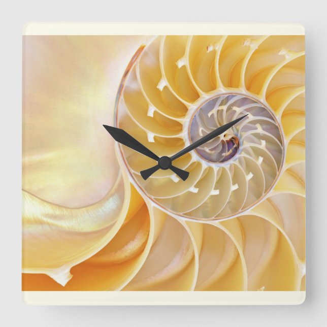 Nautilus Relógio de Parede Acrílica (Frente)