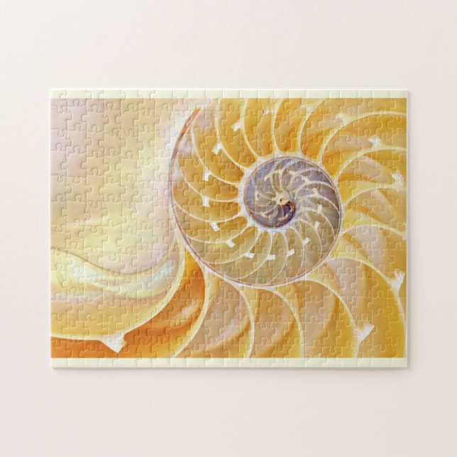 Nautilus Seashell Quebra-cabeça (Horizontal)