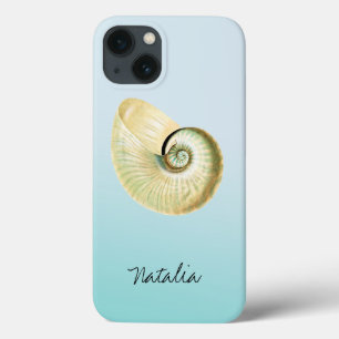 Nautilus shell