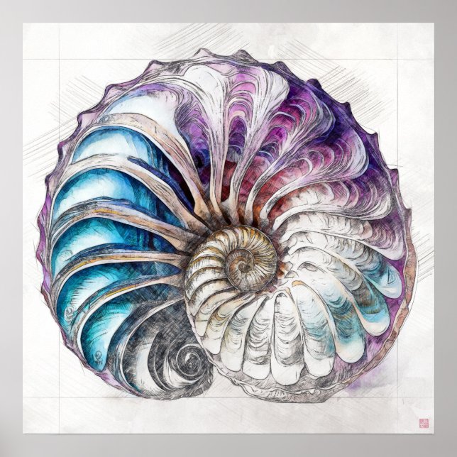 Nautilus Shell Drawing - Art Impressão (Frente)