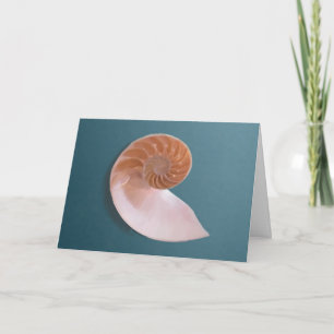 Nautilus Shell no cartão azul oceânico