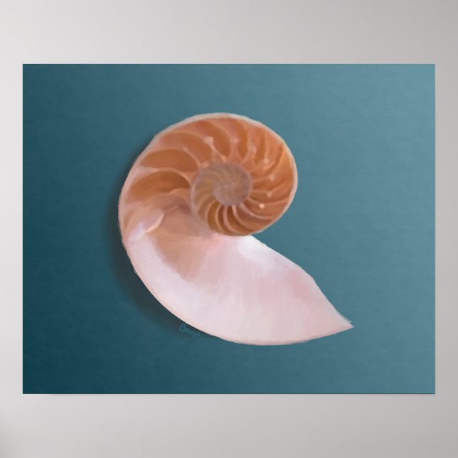 Nautilus Shell no Ocean Blue Fine Art Impressão (Frente)