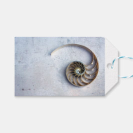 nautilus shell seashell Fibonacci espiral etiqueta
