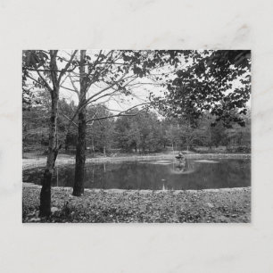 Nay Aug Park Scranton Pa. Cartão Postal