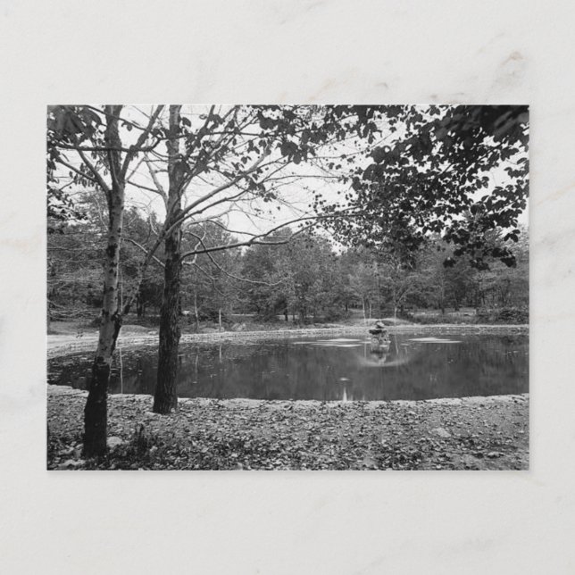Nay Aug Park Scranton Pa. Cartão Postal (Frente)