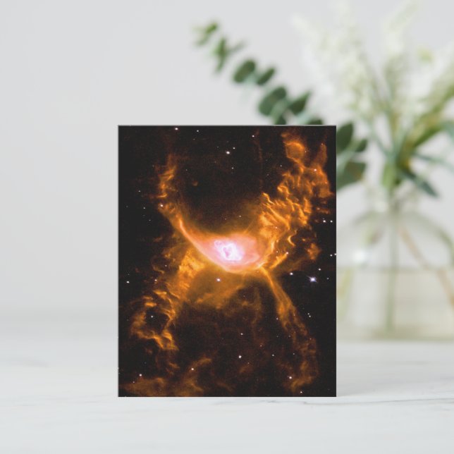 Nebulosa Gigante de Aranha | Presente de Amantes d (Em pé/Frente)
