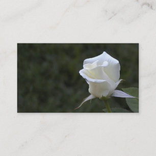 Negócio ou cartão de visita do rosa branco