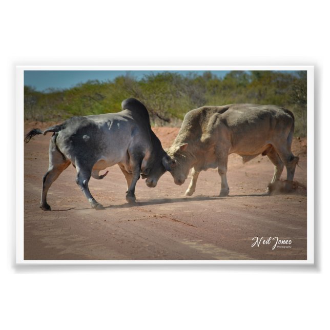 Neil Jones Fotografia - Rei da Estrada. (Frente)