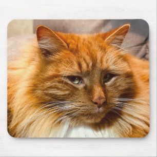 Nemo Mousepad de Gatinho Especial