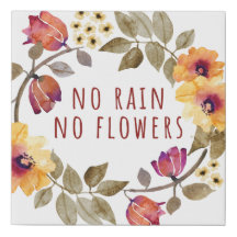 Nenhuma chuva, nenhumas flores