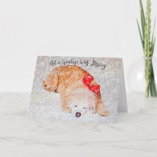 Nenhuma criatura estava tirando o cartão de feriad