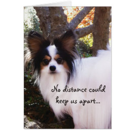 NENHUMA distância podia manter-nos cartão separado