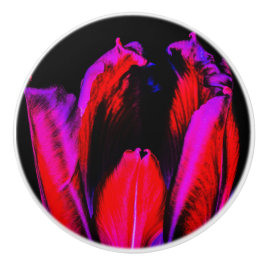 Neon Glow Tulip