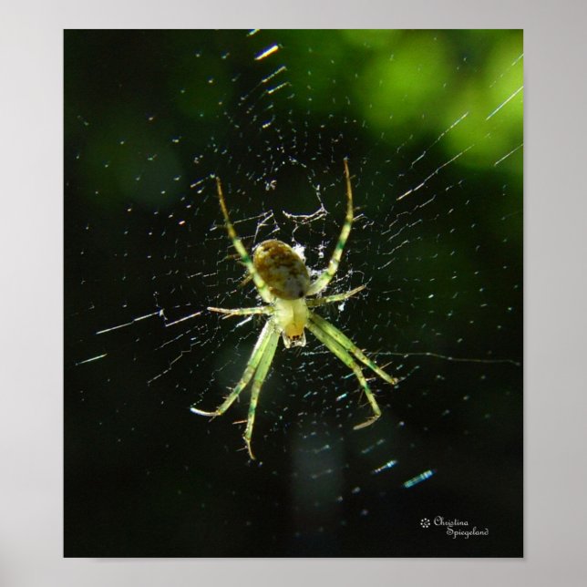 Neon Green Spider Poster (Frente)