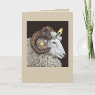 Nest Finders, cartão Kepers