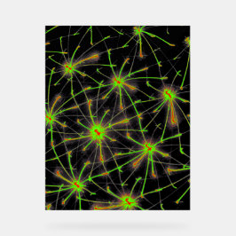 Neural Network Burst – Premium Acrylic Sign