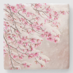 Neve em Cherry Blossoms 4" x Porta copos de pedra