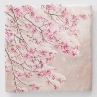 Neve em Cherry Blossoms 4" x Porta copos de pedra