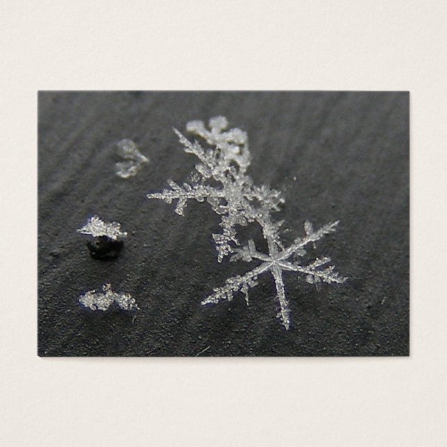 Neve Flake 49 ~ ATC (Frente)
