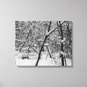 Neve na foto preto e branco das árvores em canvas