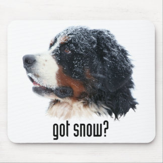 neve obtida? mousepad