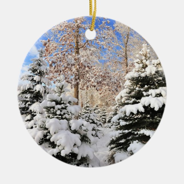 Neve para enfeites de natal (Frente)