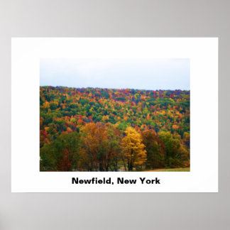NEWFIELD NEW YORK poster