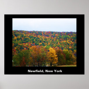 NEWFIELD NEW YORK poster