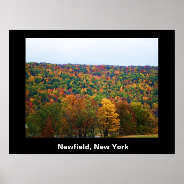 NEWFIELD NEW YORK poster (Frente)