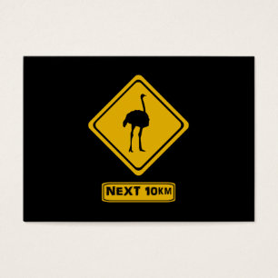 next 10 km ostriches