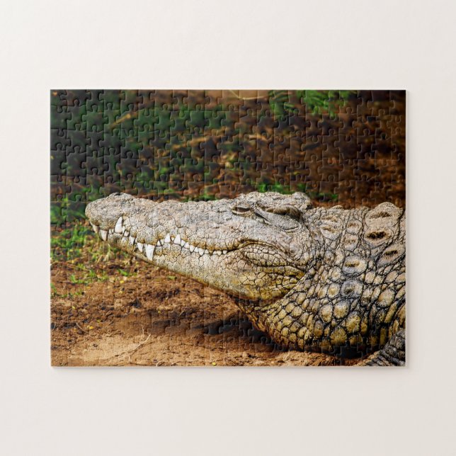 Nile Crocodile, Quebra-cabeça de serra (Horizontal)