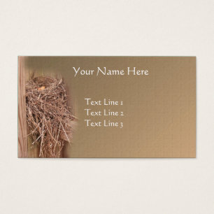 Ninho De Pássaro Vazio Na Natureza Da Cerca