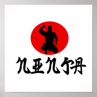 Ninja Poster