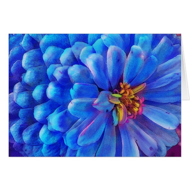 No azul, o cartão do Zinnia, floresce (Frente Horizontal)