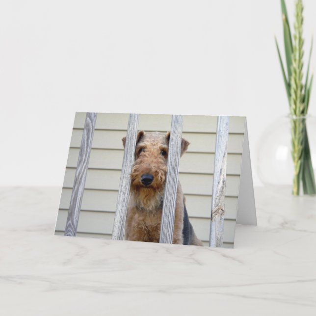 No cartão da casa de cachorro (Frente)