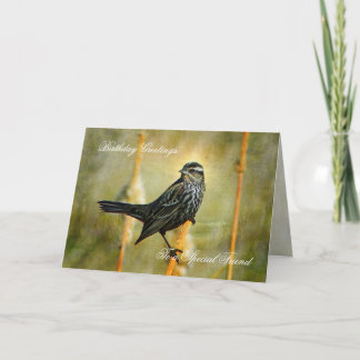 No Cartão de Aniversário à Luz