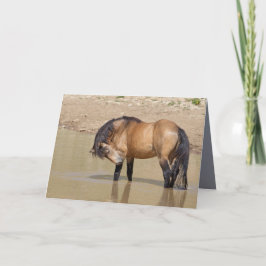 No Cartão de Saudação de Cavalo Selvagem de Waterh