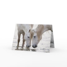 No Cartão de Saudação do Cavalo da Amanhã